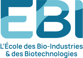 Moodle EBI